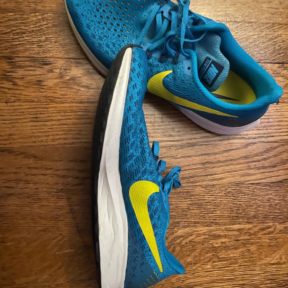 Nike Pegasus